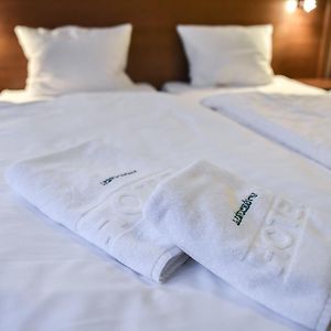Duży pokój z łóżkiem king-size